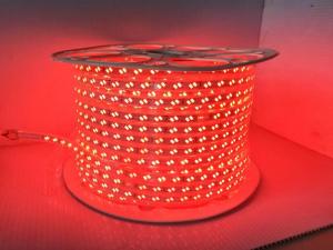 L.Led Strip 5730 L.Led Strip 5730