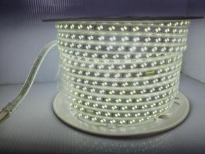 L.Led Strip 5730 L.Led Strip 5730