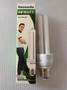 BOLA LAMPU HANNOCHS 2U 14W