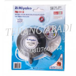 Regulator RM-101 M