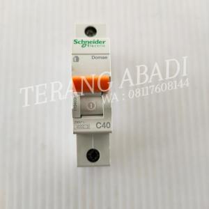 MCB 1P 40A Schneider domae